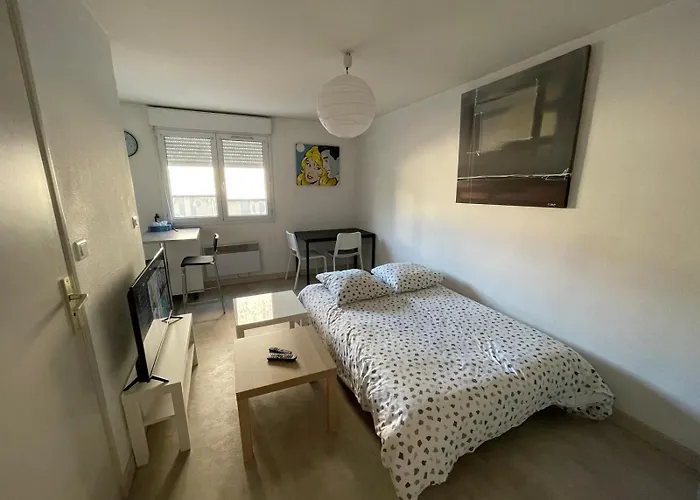 20m2 Parking 4rue Proudhon Wifi Rdcsureleve קלרמונט-פרנד