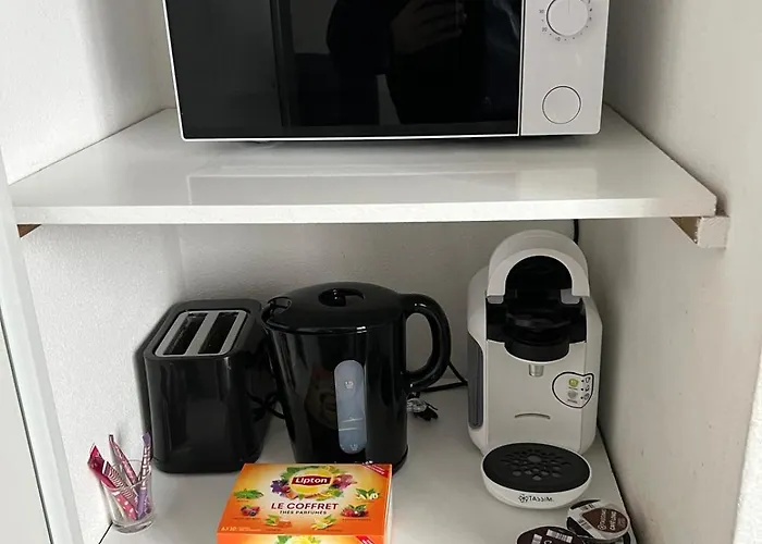 דירה 20m2 Parking 4rue Proudhon Wifi Rdcsureleve קלרמונט-פרנד